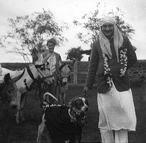 Dassera - With Chum & Donkeys